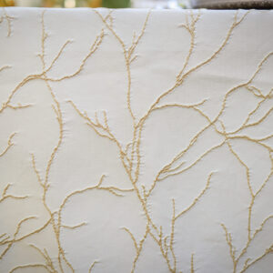 1Y6A1810