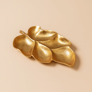 11e139b5-01cd-42f5-aa78-20ac7b415a8e