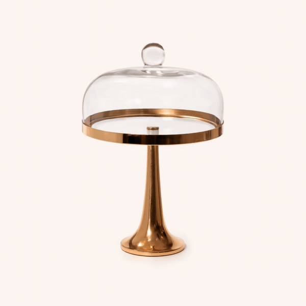 ed988206-1ed6-4afa-a693-048dd0e85f78