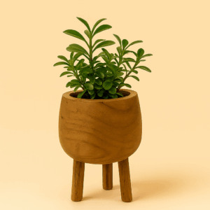 b84acb24-a104-4e4b-82d9-469f189f4b35 b84acb24-a104-4e4b-82d9-469f189f4b35