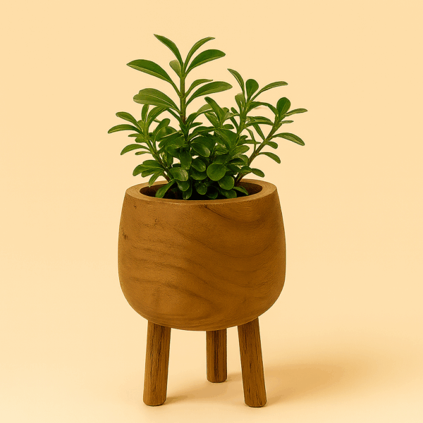 b84acb24-a104-4e4b-82d9-469f189f4b35 b84acb24-a104-4e4b-82d9-469f189f4b35