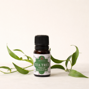 TEA TREE
